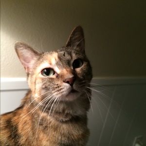 Meet your Posher, Sabrina